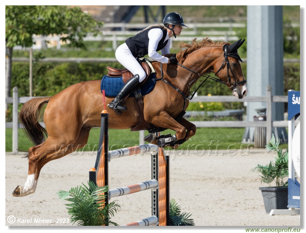 CSI 1* - Big Tour Final - 140 cm