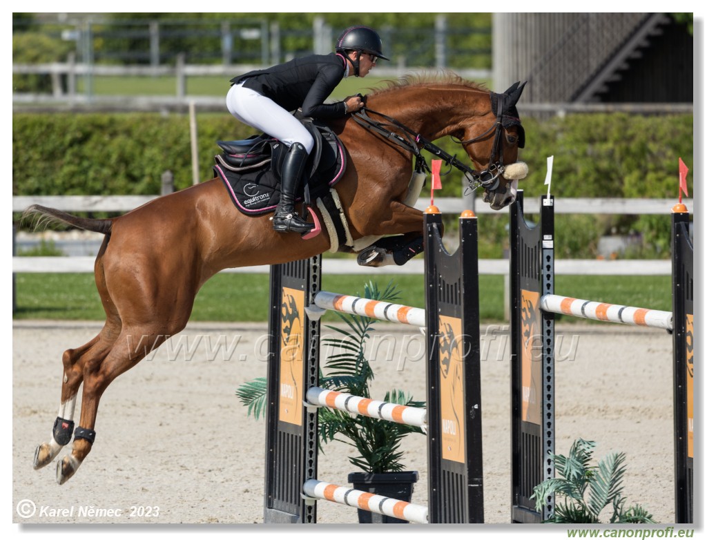 CSI 1* - Big Tour Final - 140 cm