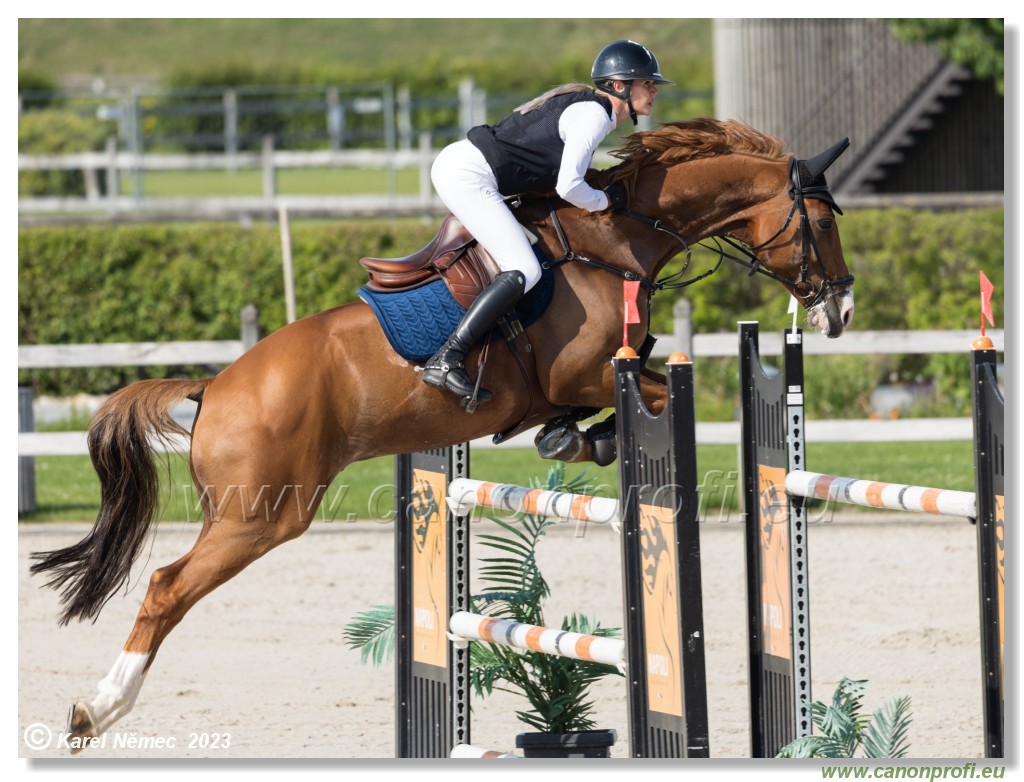 CSI 1* - Big Tour Final - 140 cm