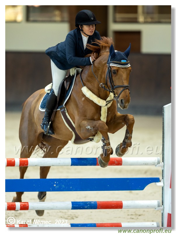 Accumulator Competition L with Jocker - 120 cm