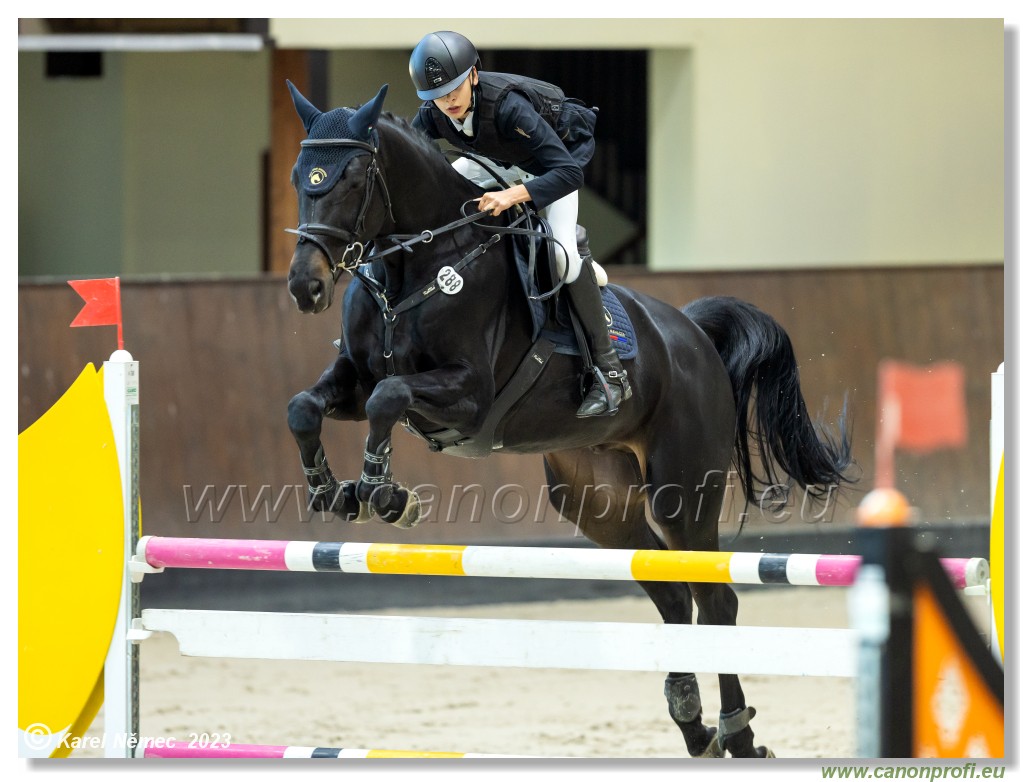 Accumulator Competition L with Jocker - 120 cm