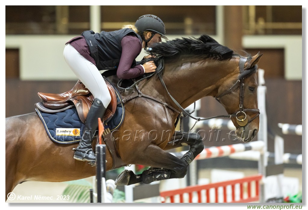 Competition S - 130 cm