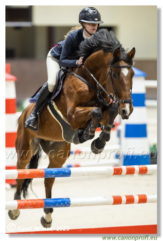 Competition S - 130 cm