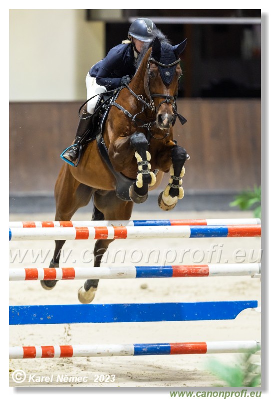 Competition S - 130 cm