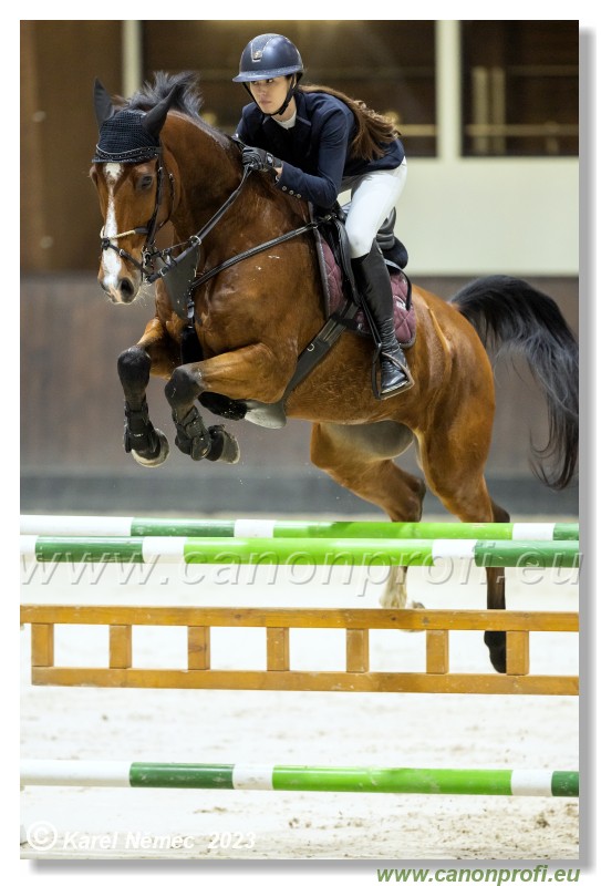 Competition S - 130 cm