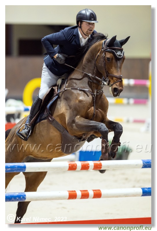 Competition S - 130 cm