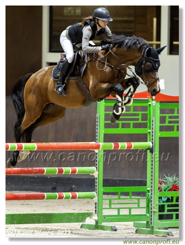 Competition S - 130 cm