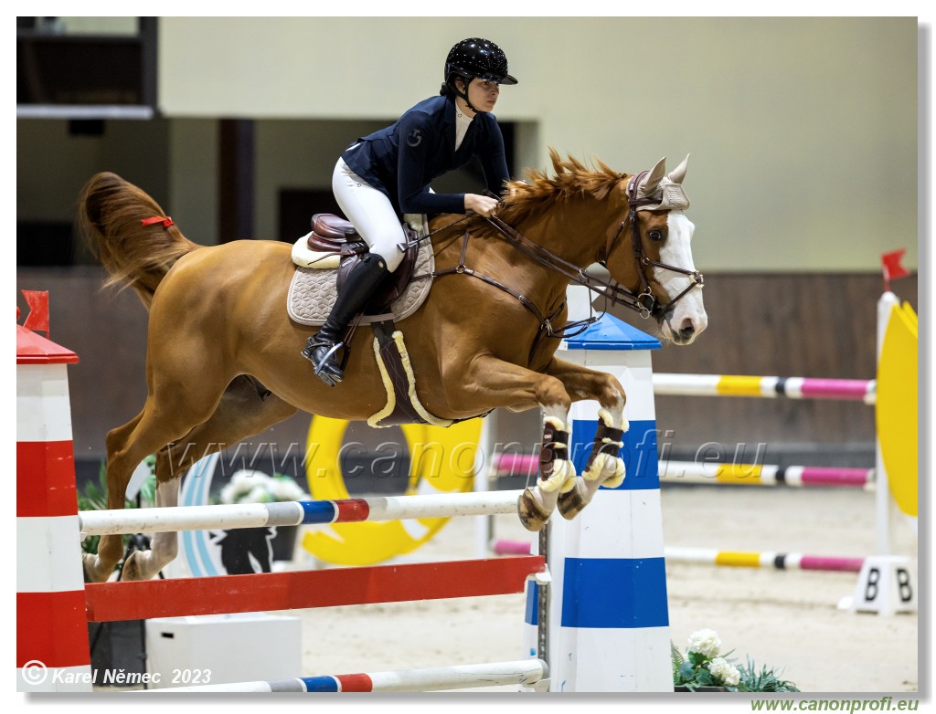 Competition S - 130 cm