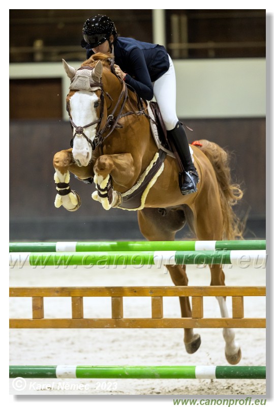 Competition S - 130 cm