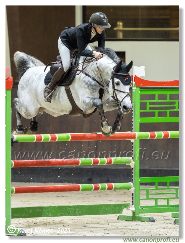 Competition S - 130 cm