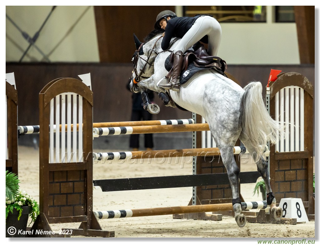 Competition S - 130 cm