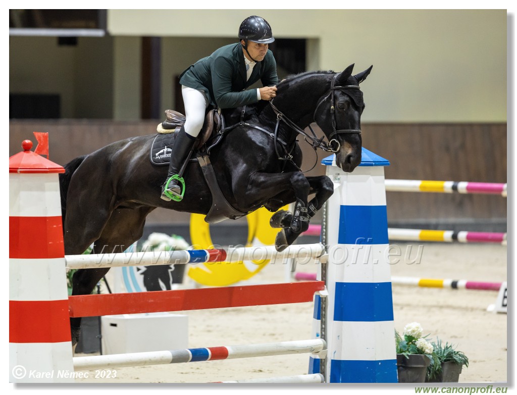 Competition S - 130 cm