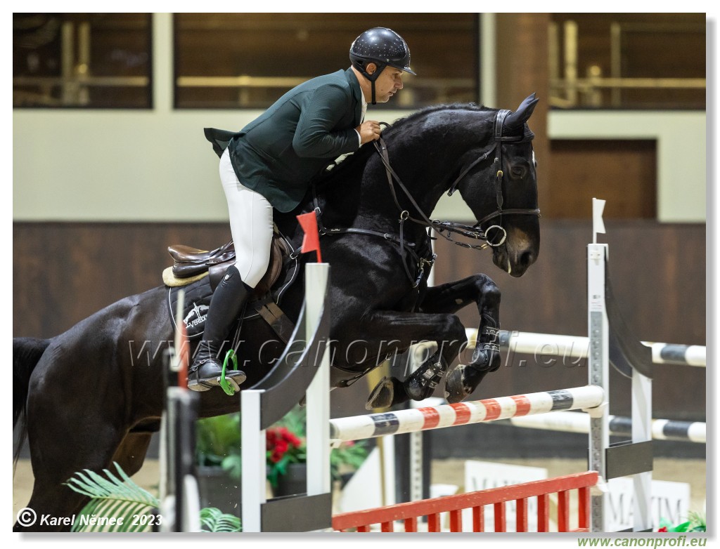 Competition S - 130 cm