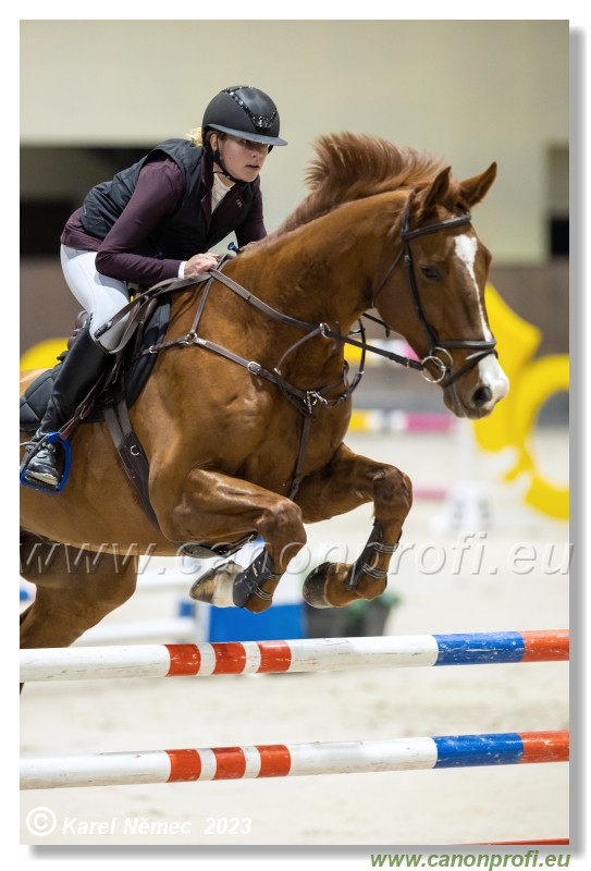 Competition S - 130 cm