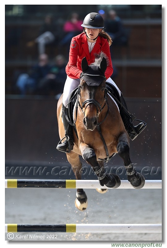 Two Phases Competition S - 130/135 cm