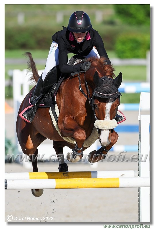 Danube Champions Tour - CSI1* - Grand Prix - 1.35 