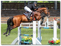 Danube Champions Tour - CSI2* - Grand Prix - 1.45m