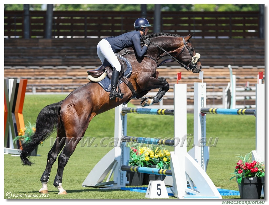 Danube Champions Tour - CSI2* - Grand Prix - 1.45