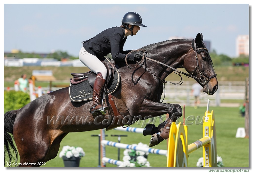 Danube Champions Tour - CSI2* - Grand Prix - 1.45