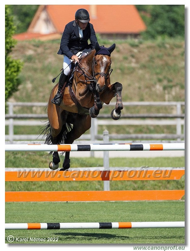 Danube Champions Tour - CSI2* - Grand Prix - 1.45