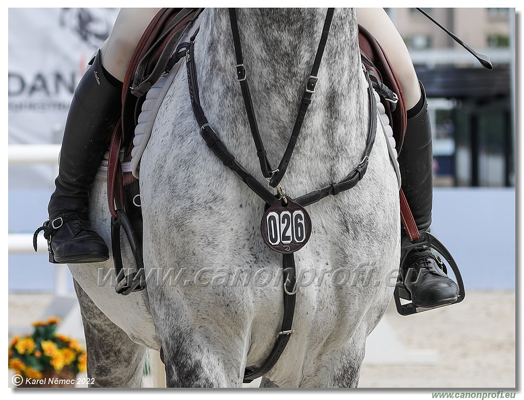 Danube Equestrian Festival - CSI 1* - Big Tour - 1.35 