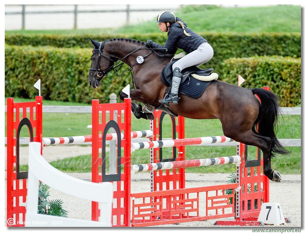 Danube Champions Tour - CSI1* - Big Tour - 1.30 m