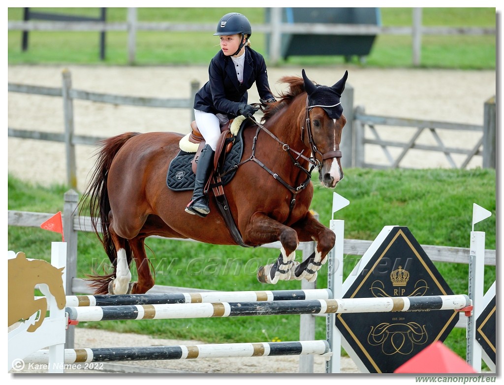 Danube Champions Tour - CSI1* - Big Tour - 1.30 m