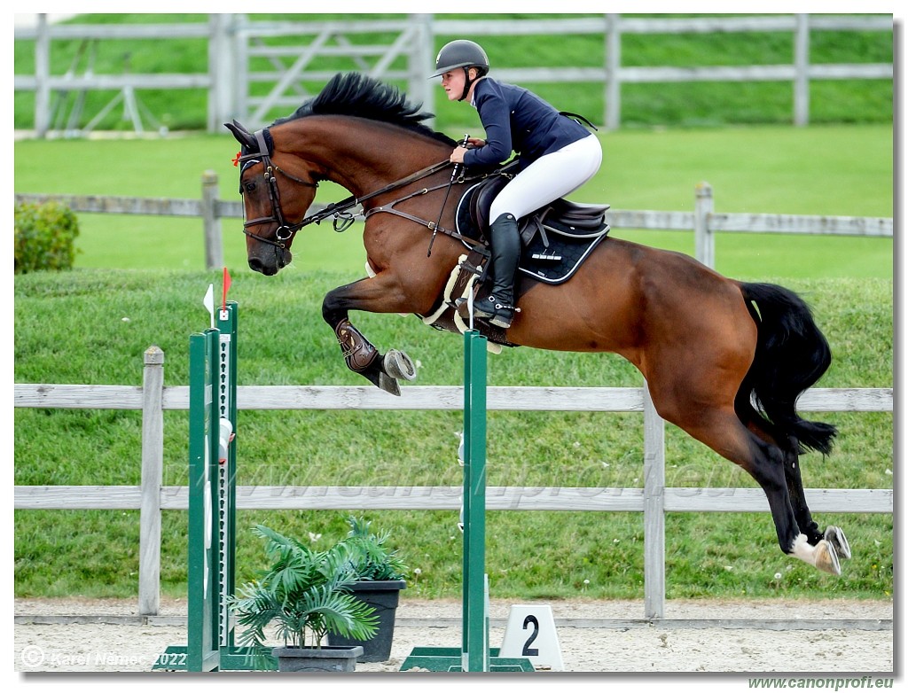 Danube Champions Tour - CSI1* - Big Tour - 1.30 m