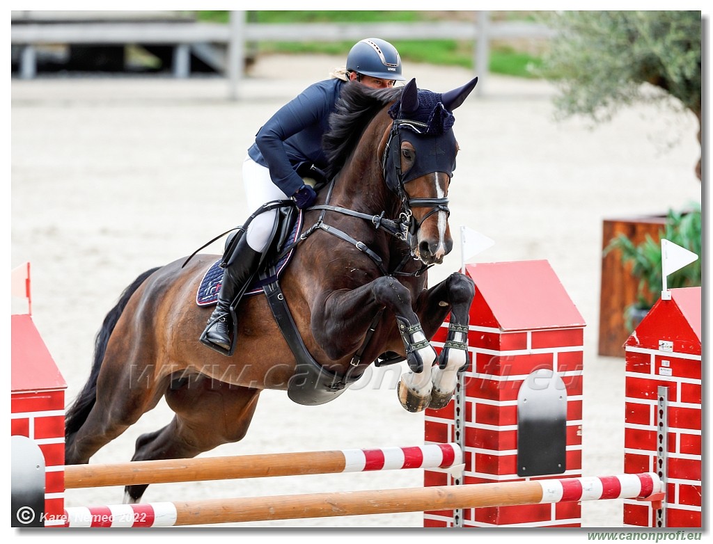 Danube Champions Tour - CSI1* - Big Tour - 1.30 m