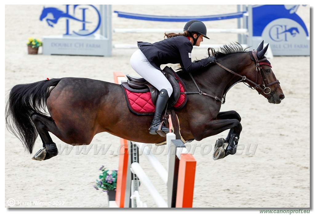 Danube Champions Tour - CSI1* - Big Tour - 1.30 m