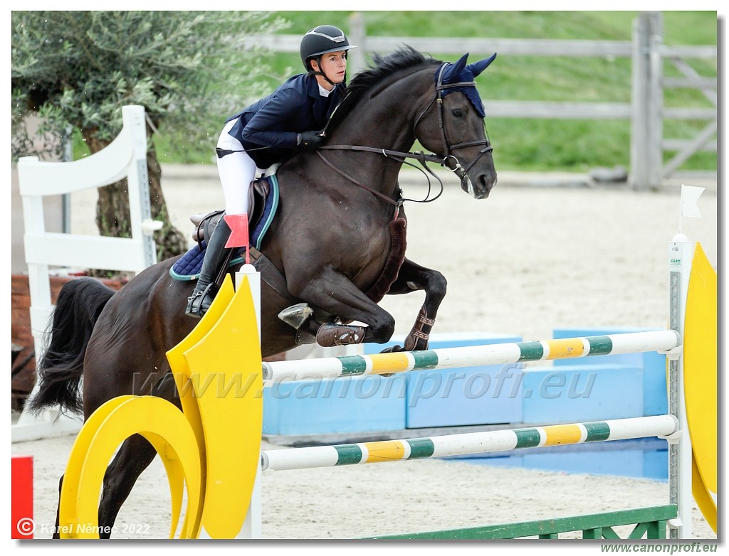 Danube Champions Tour - CSI1* - Big Tour - 1.30 m