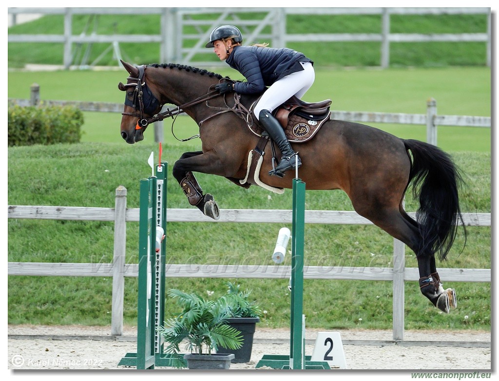 Danube Champions Tour - CSI1* - Big Tour - 1.30 m