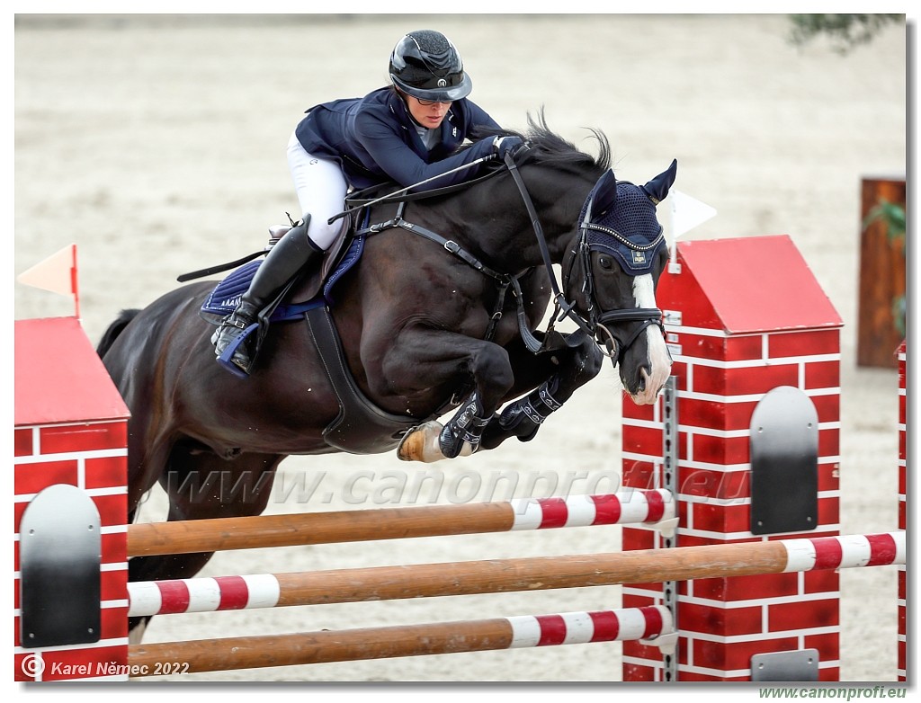 Danube Champions Tour - CSI1* - Big Tour - 1.30 m