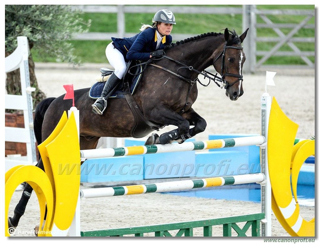 Danube Champions Tour - CSI1* - Big Tour - 1.30 m
