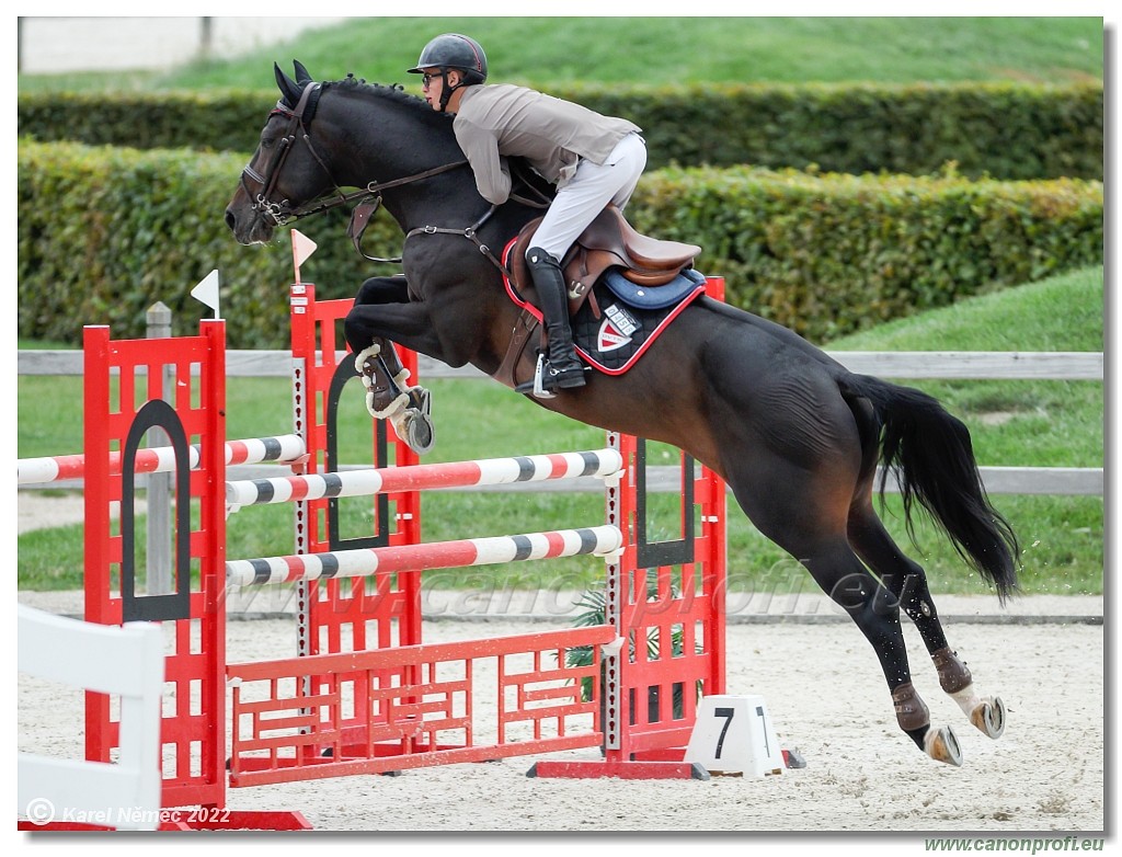 Danube Champions Tour - CSI1* - Big Tour - 1.30 m