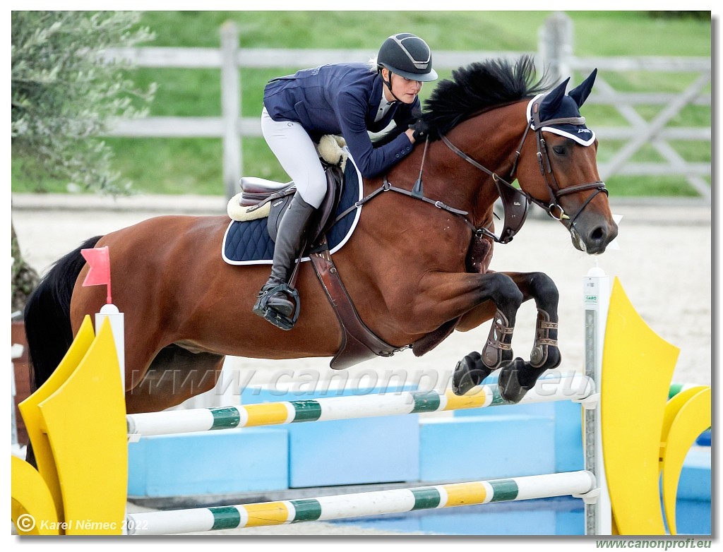 Danube Champions Tour - CSI1* - Big Tour - 1.30 m