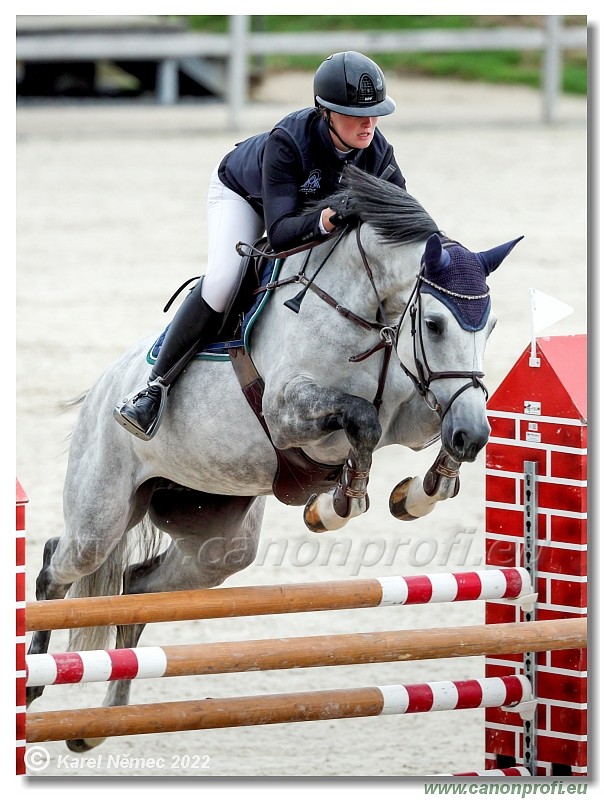 Danube Champions Tour - CSI1* - Big Tour - 1.30 m