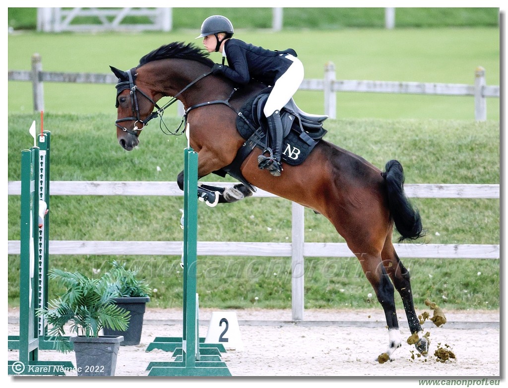 Danube Champions Tour - CSI1* - Big Tour - 1.30 m