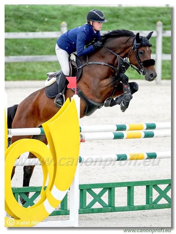 Danube Champions Tour - CSI1* - Big Tour - 1.30 m