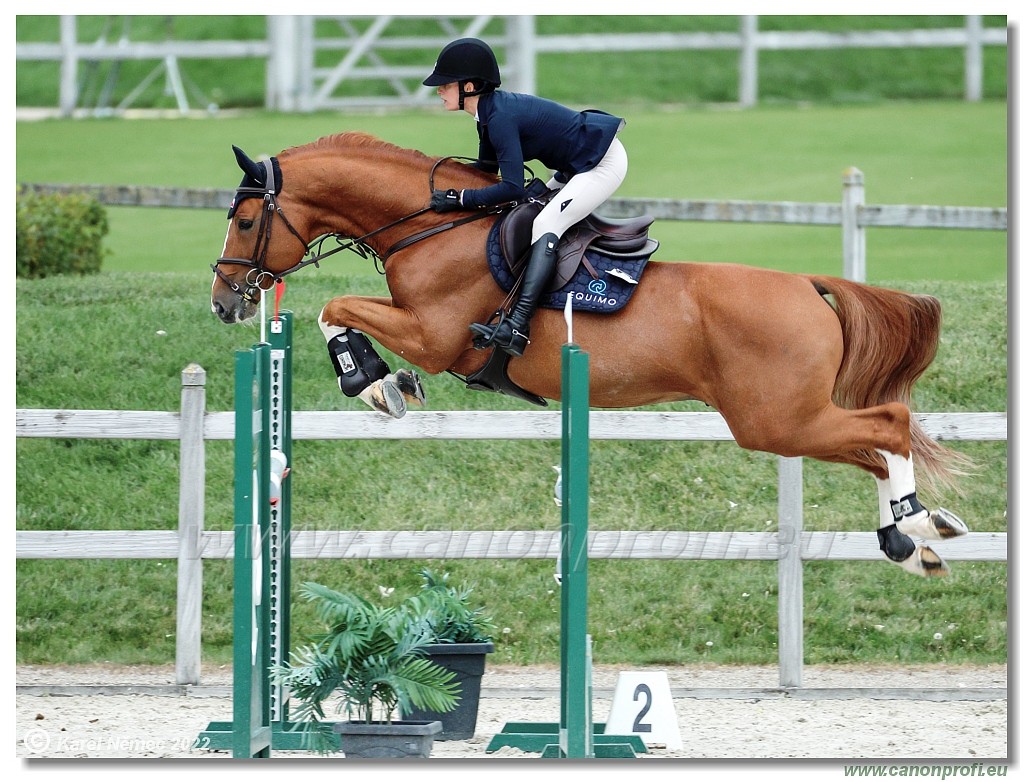 Danube Champions Tour - CSI1* - Big Tour - 1.30 m