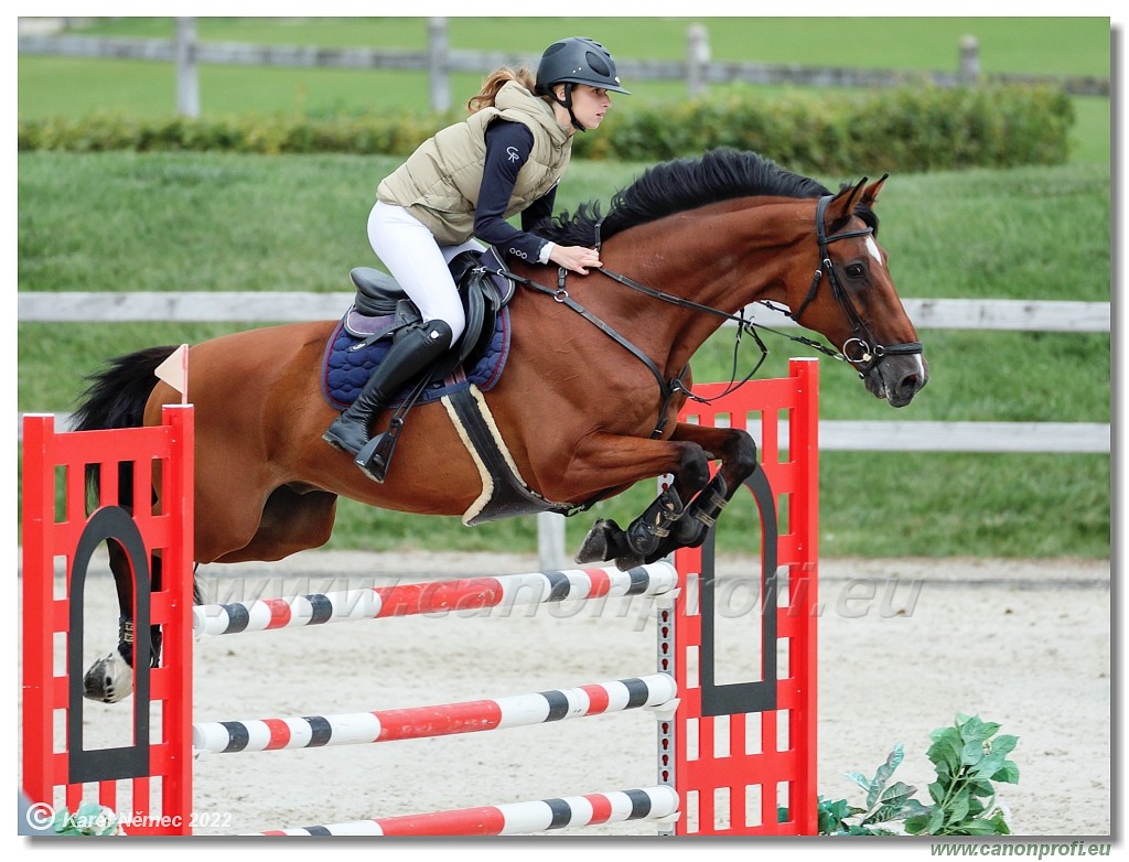 Danube Champions Tour - CSI1* - Big Tour - 1.30 m