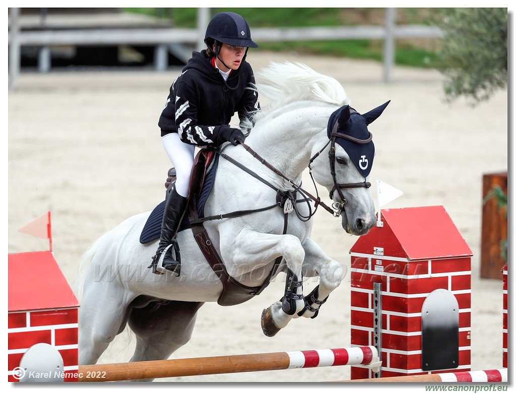 Danube Champions Tour - CSI1* - Big Tour - 1.30 m