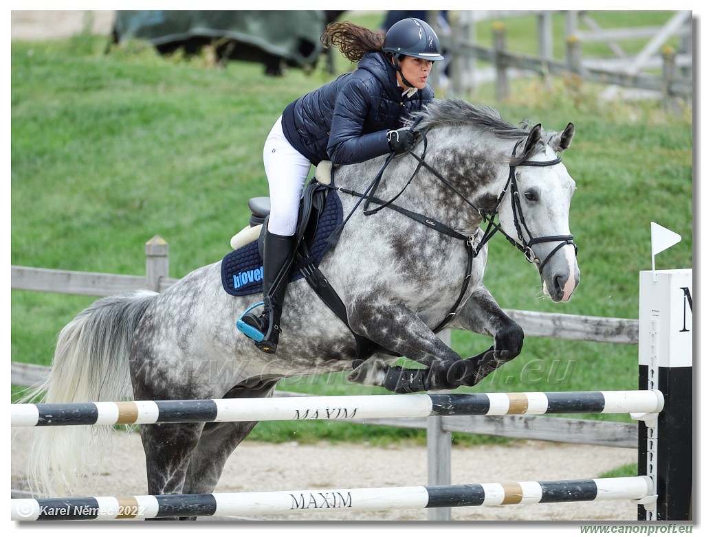 Danube Champions Tour - CSI1* - Big Tour - 1.30 m