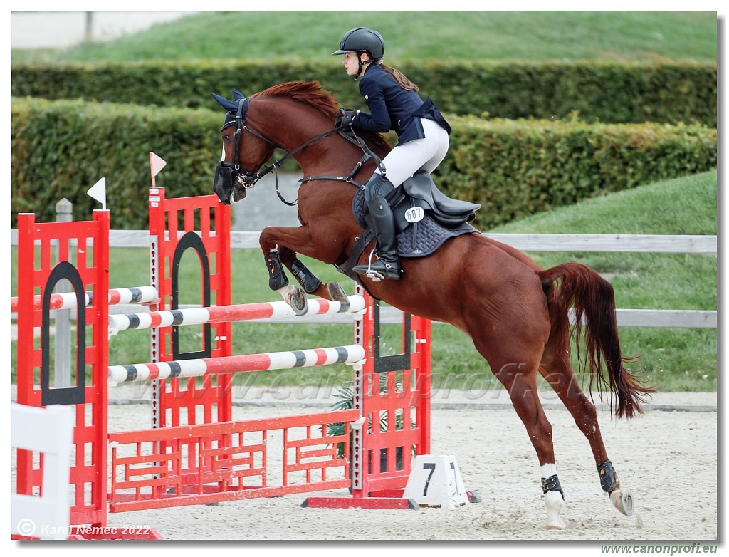 Danube Champions Tour - CSI1* - Big Tour - 1.30 m