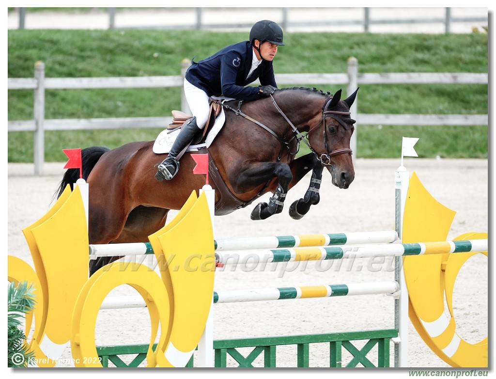 Danube Champions Tour - CSI1* - Big Tour - 1.30 m