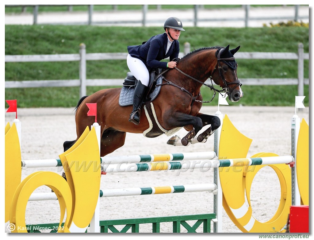 Danube Champions Tour - CSI1* - Big Tour - 1.30 m