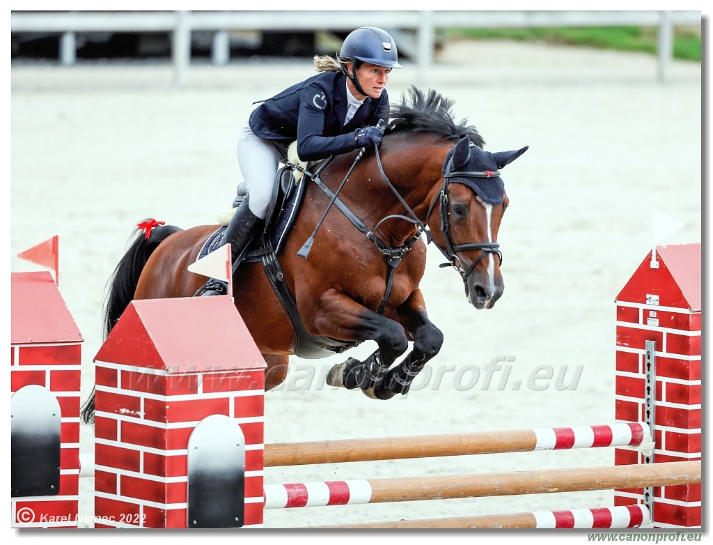 Danube Champions Tour - CSI1* - Big Tour - 1.30 m