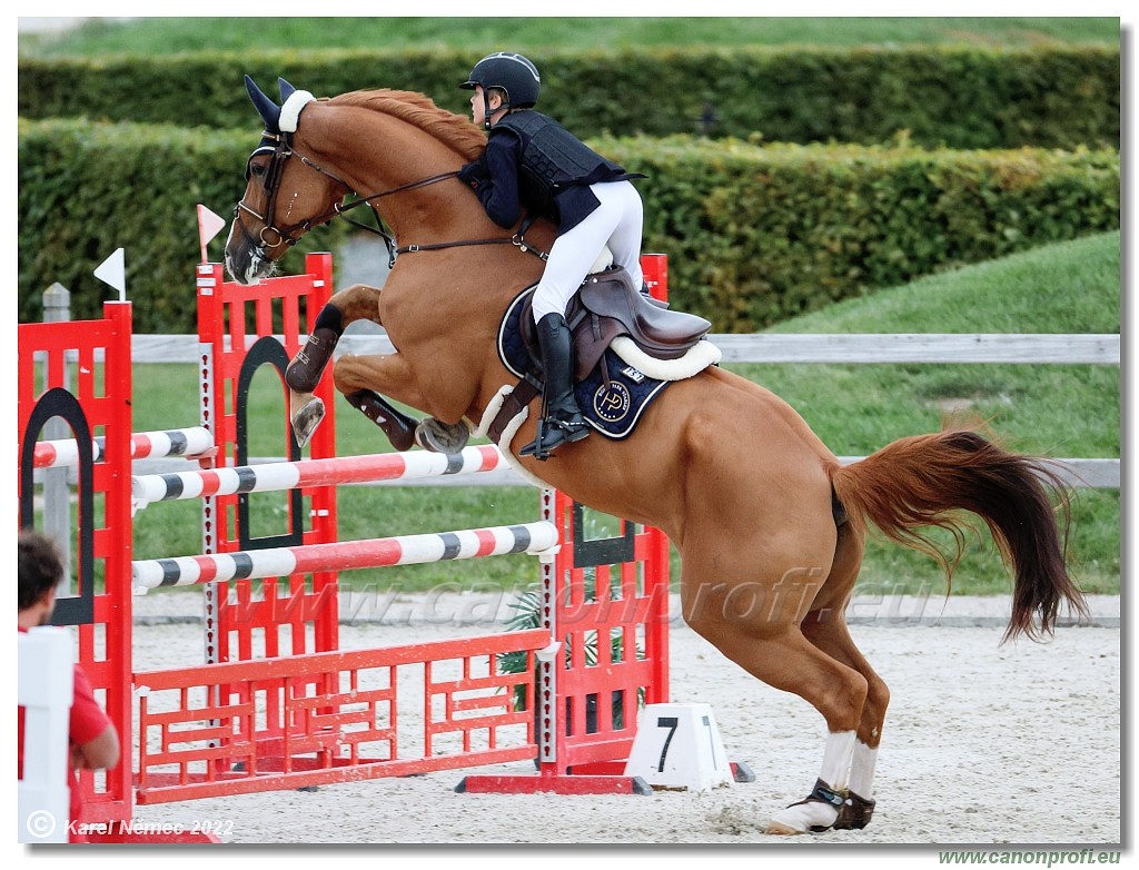 Danube Champions Tour - CSI1* - Big Tour - 1.30 m