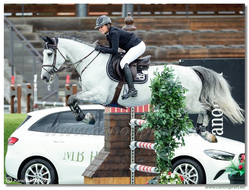 Danube Champions Tour - CSI3* - Silver Tour-Derby - 1.45 m