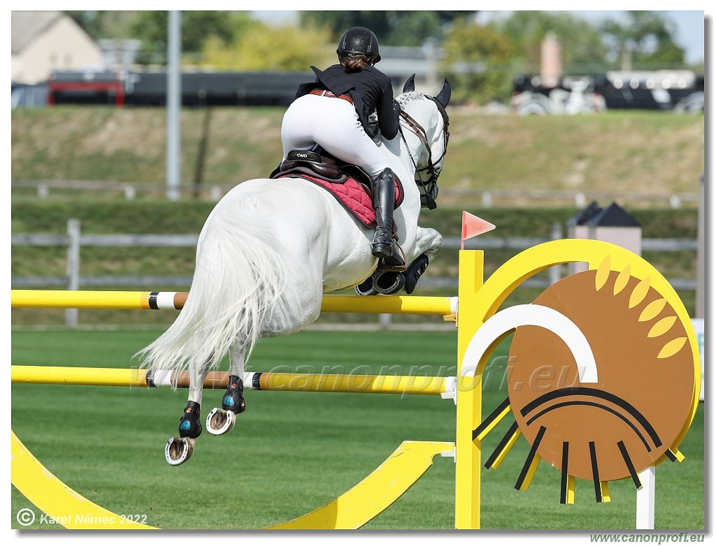 Central European League - CSI3* - Grand Prix - 1.50 m